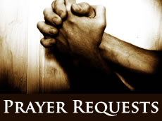 Online Prayer Requests